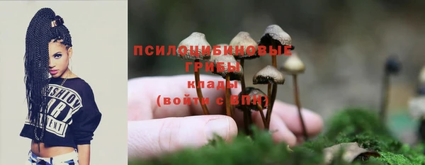 спайс Богородицк