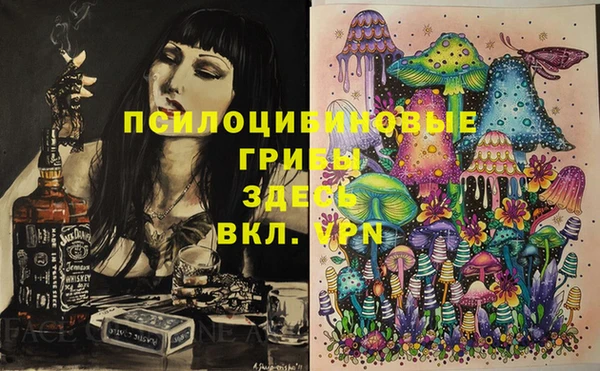 мет Богданович