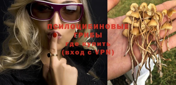 спайс Богородицк