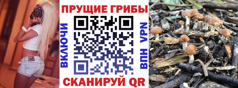 Купить где  Печора  Галлюциногенные грибы прущие грибы 