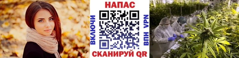 Купить где  Печора  Шишки марихуана сатива 